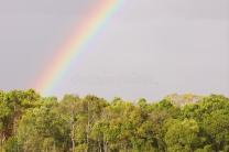 L'arc-en-ciel evenements_formations_conferences_eglises