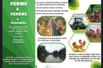 Ferme de 65 hectares de superficie à vendre à Kinshasa/ Kasangulu à YANDA 40 kilomètres avec Gombe au prix de 500.000$ à négocier immobilier_vente_location