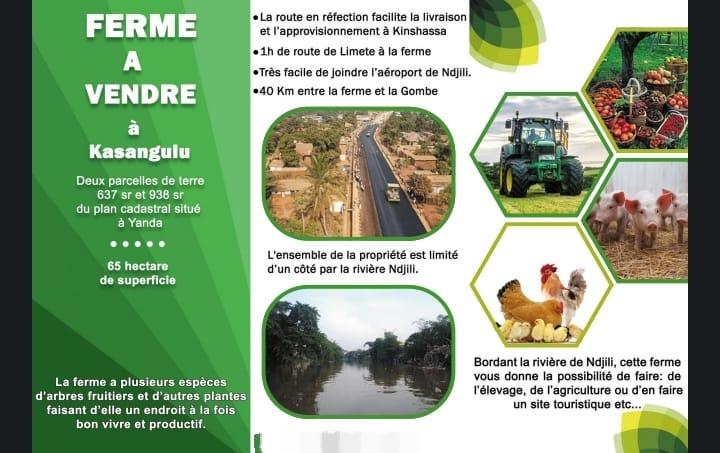 Ferme de 65 hectares de superficie  vendre  Kinshasa Kasangulu  YANDA 40 kilomtres avec Gombe au prix de 500.000  ngocier