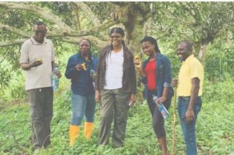 Ferme de 65 hectares de superficie  vendre  Kinshasa Kasangulu  YANDA 40 kilomtres avec Gombe au prix de 500.000  ngocier