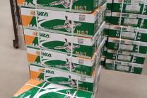 vente des pièces de rechanges d'origine à une très bonne qualité automobile_motos_velos_engins_et_pieces