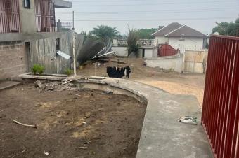 Magnifique parcelle  vendre  Mbinza Pigeon