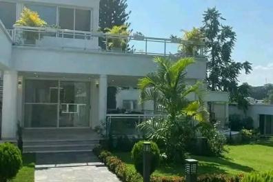immobilier_vente_location GROUPE  GÉANT  VERT  