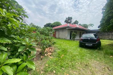 immobilier_vente_location Phoenix Agency  