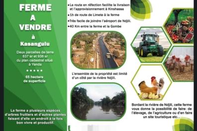immobilier_vente_location Courtier RDC   