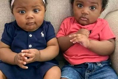 services_propositions_d_affaires goodservice congo  