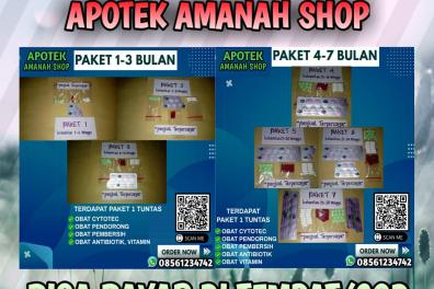 produits_de_beaute_sante_et_soins_du_corps Obat Penggugur  