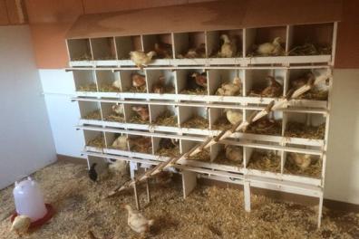 mode_habillement_bijoux_montres_chaussures_lunettes Anonyme  