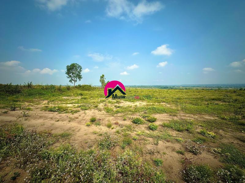 Vente des 70 terrains borns et cadastrs de 20m sur 20m  Nsele derrire mausole du feu tienne TSHISEKEDI WA MULUMBA 6KM avec la route nationale N1 un coin dj habitable 