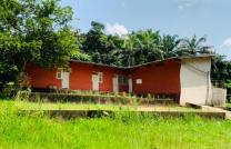 Ferme de 65 hectares de superficie à vendre à Kinshasa/ Kasangulu à YANDA 40 kilomètres avec Gombe au prix de 500.000$ à négocier mediacongo