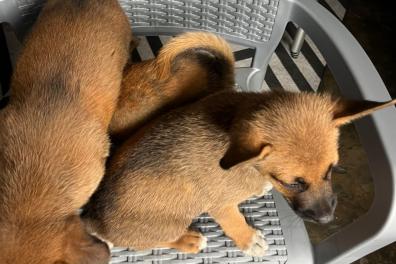 services_propositions_d_affaires Consulting Immo et C  