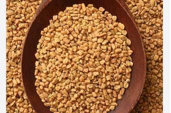 Vente graines de fenugrec