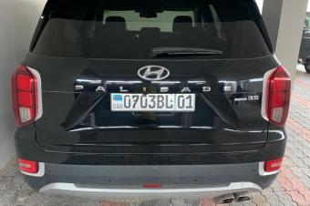 Hyundai palissade 