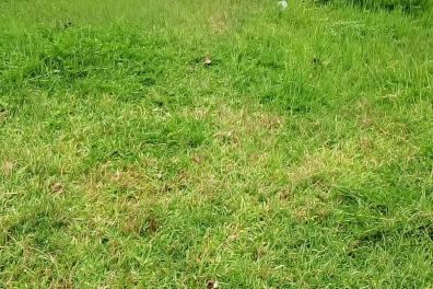immobilier_vente_location Mme Mimi  