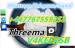mediacongo