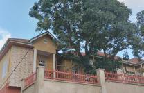 AG-IMMO SARL ; met à votre disposition la location de toute cette belle parcelle, C/Mont-ngafula. Réf: Arrêt Liyolo. Loyer: 3.000$. Garantie locat: 6+1. Nous sommes à votre écoute. mediacongo