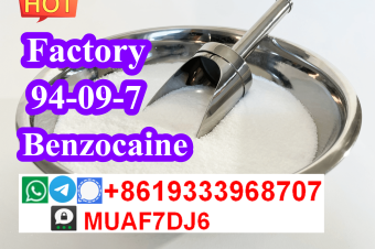 chemical raw material Benzocaine powder 94097 