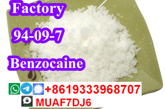 chemical raw material Benzocaine powder 94097 