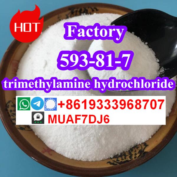 order Methylamine hcl with high qualityCAS593511 