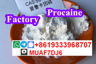 order Methylamine hcl with high qualityCAS593511 