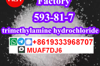 order Methylamine hcl with high qualityCAS593511 