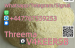 mediacongo