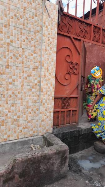 Vente parcelle avec des maisons  NDJILI Q13
