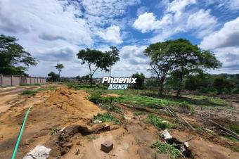 Vente  Terrain au CHK  Ngaliema