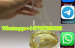 mediacongo