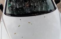 Mitsubishi GDI mediacongo