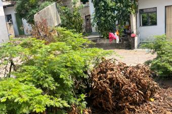 MAGNIFIQUE PARCELLE  VENDRE SUR BAKOLE  LEMBA SALONGO