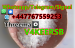 mediacongo