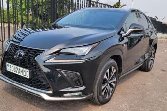 LEXUS NX300