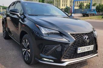 LEXUS NX300