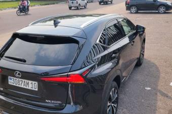 LEXUS NX300