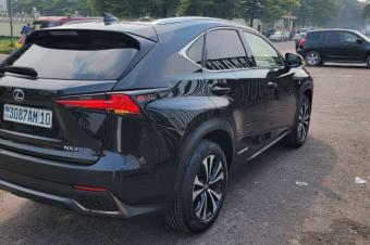 LEXUS NX300