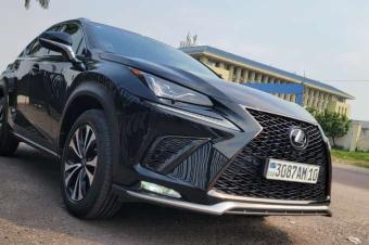 LEXUS NX300