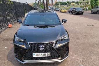 LEXUS NX300
