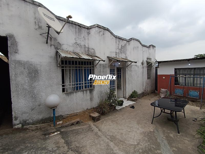 Vente  Parcelle dans la commune de Ngaliema sur Masiala 