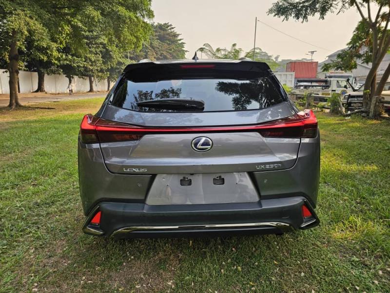 LEXUS UX250h