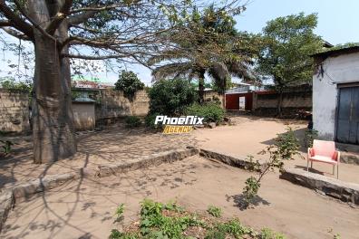 immobilier_vente_location Phoenix Agency  