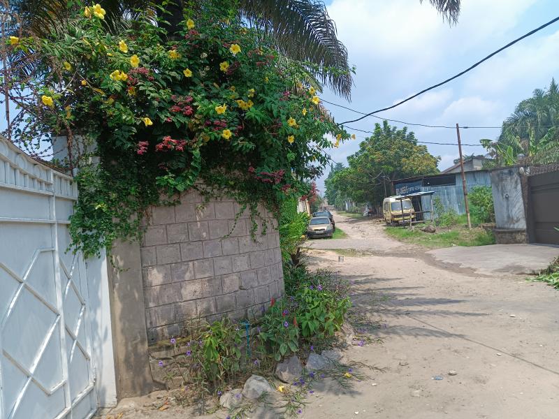 GS13IMMO SARL met  votre disposition la vente de cette magnifique villa QMimosas CNgaliema. Rf Alimentation SK. Dimension 2440M. Prix 695.000  discuter.  vous 
