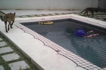 Magnifique villa  vendre  gombe sur haut commandement 