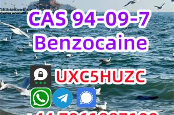 CAS 94097 powder Benzocaine powder supplier provide Sample 99 Purity