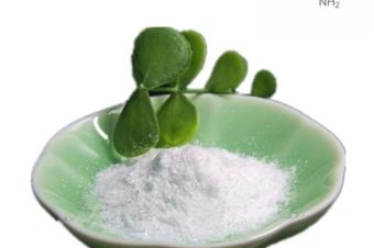 High Quality LIsoleucine CAS 73325