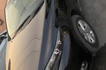 HARRIER NOUVEAU  VENDRE 