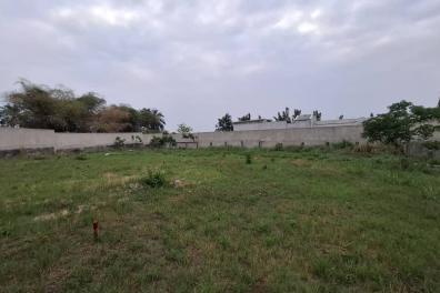 immobilier_vente_location Mme Mimi  