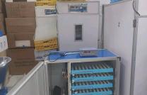 Vente des couveuses et tout autre article de l'élevage  mediacongo