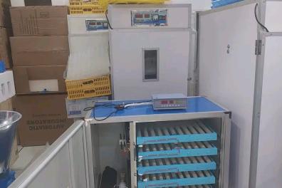 divers Burkina agronomie   