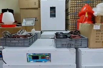 Vente des couveuses et tout autre article de llevage 